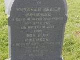 image of grave number 299561